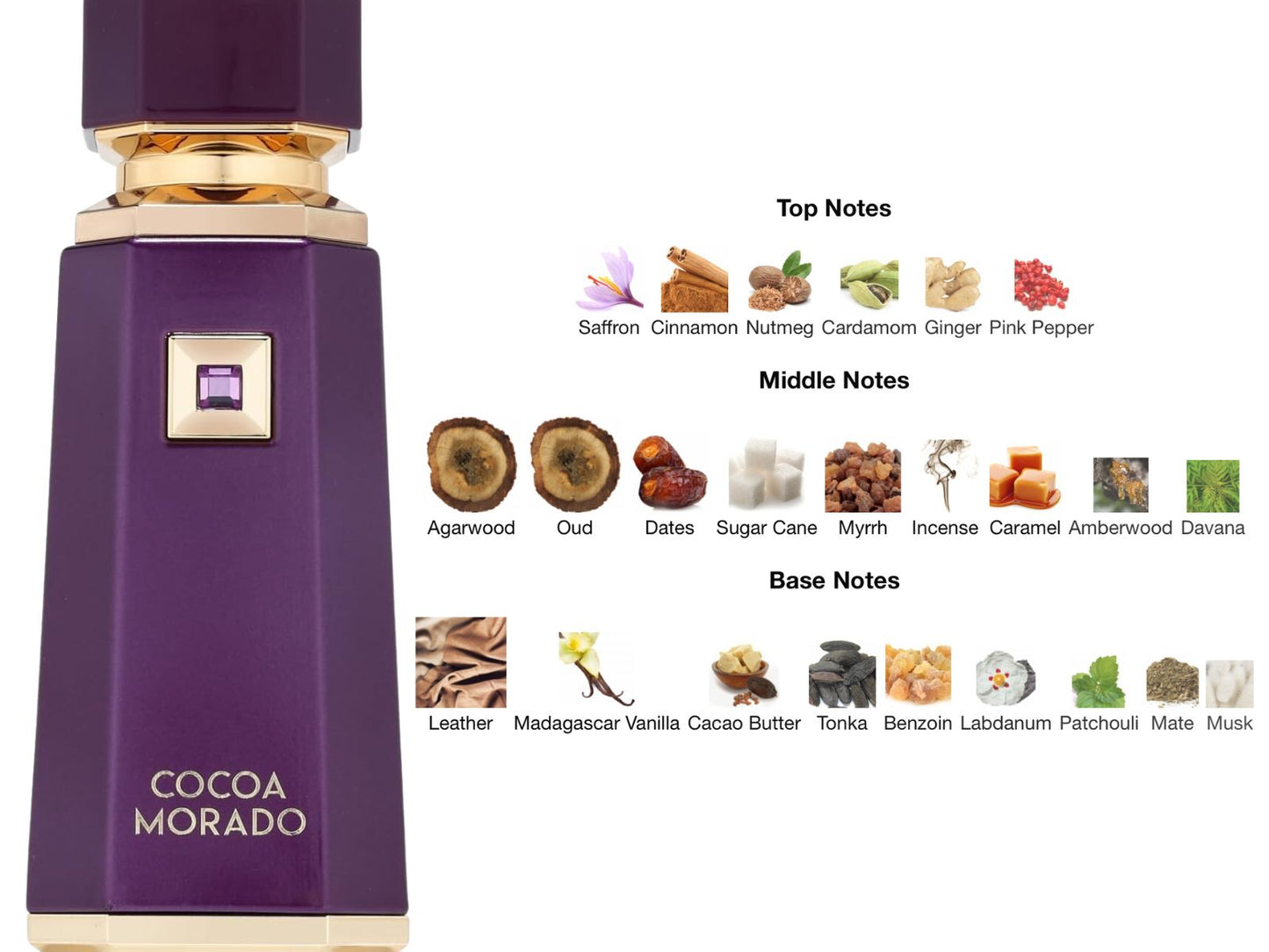 Cocoa Morado by French Avenue 100ml EDP Perfume