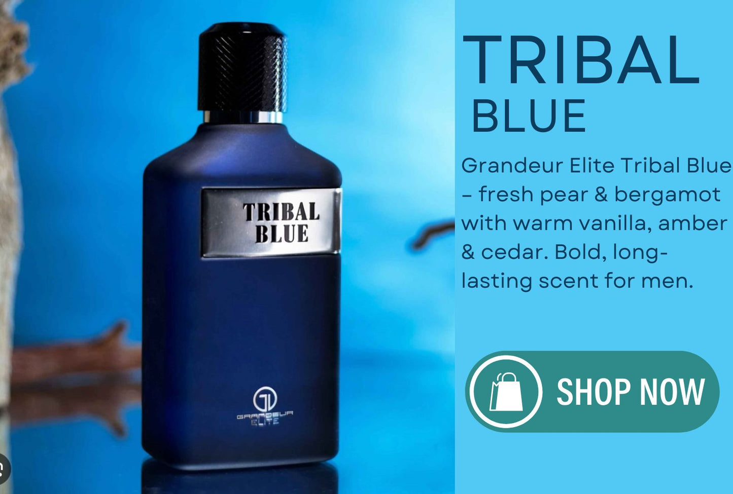 Tribal Blue by Grandeur Elite 100ml EDP Perfume