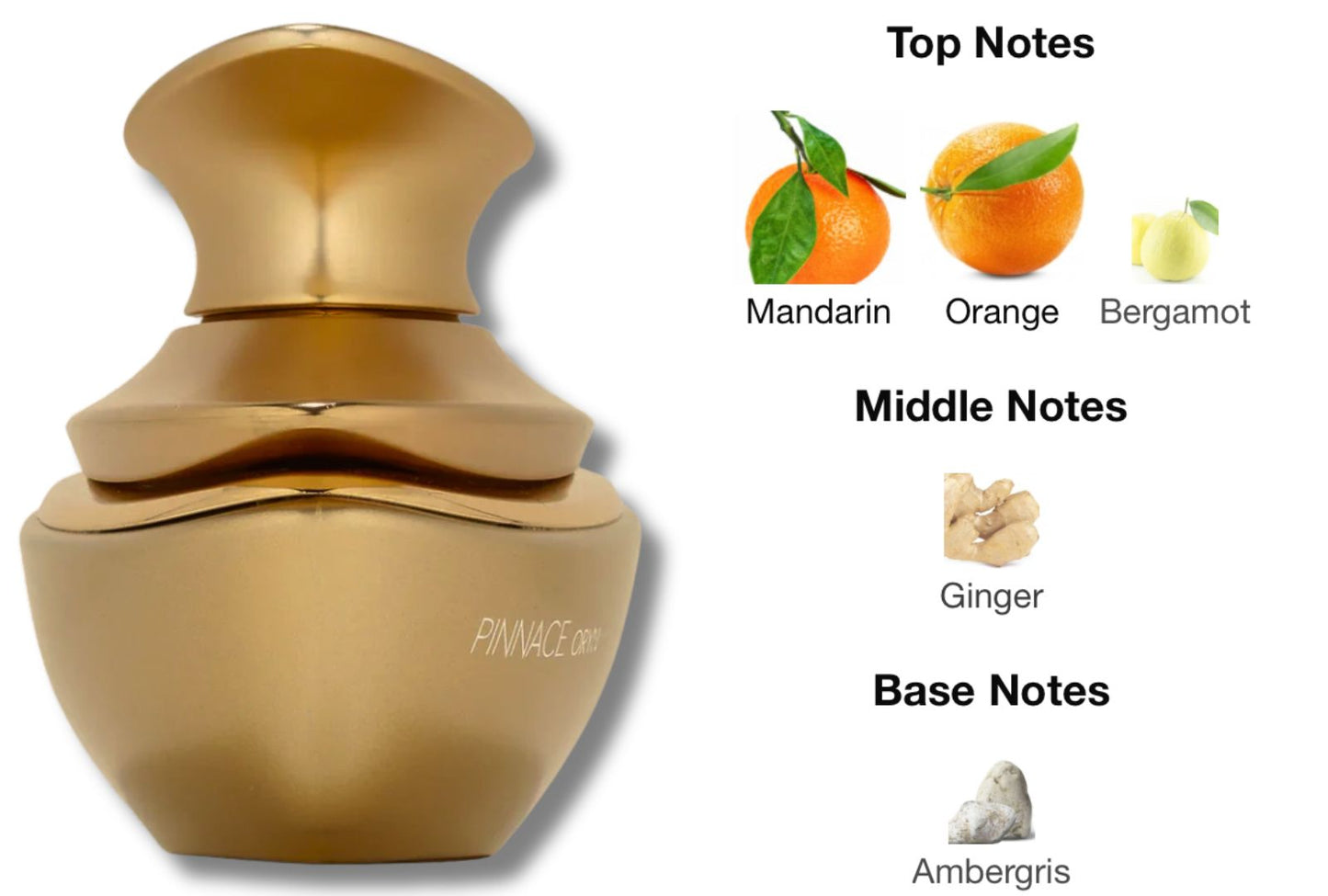 Pinnace Oryn by French Avenue 100ml EDP Perfume