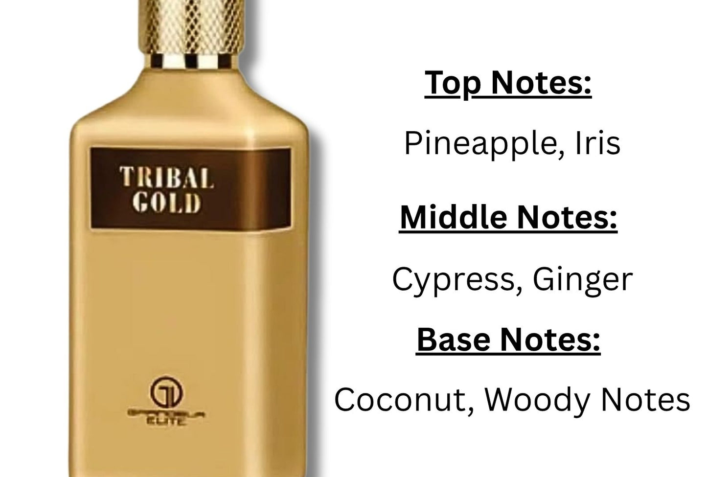Tribal Gold by Grandeur Elite 100ml EDP Perfume