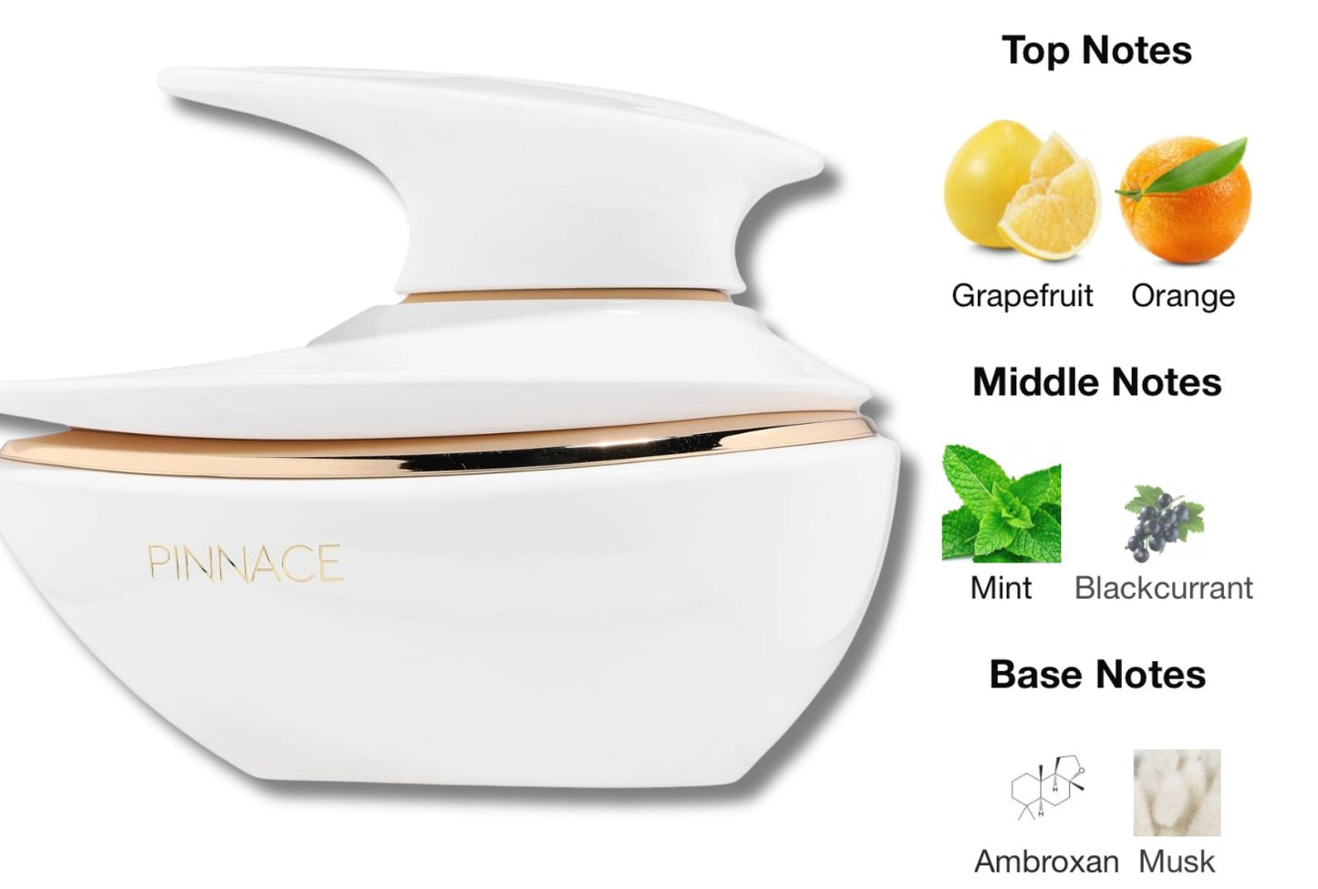 Pinnace by French Avenue 100ml EDP Perfume for Women