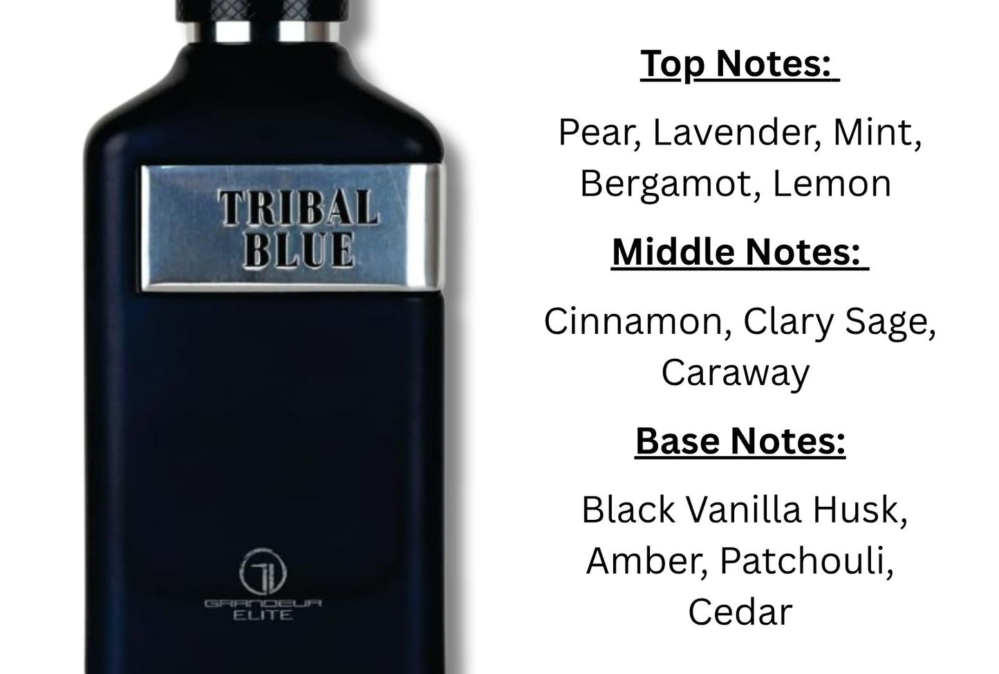 Tribal Blue by Grandeur Elite 100ml EDP Perfume