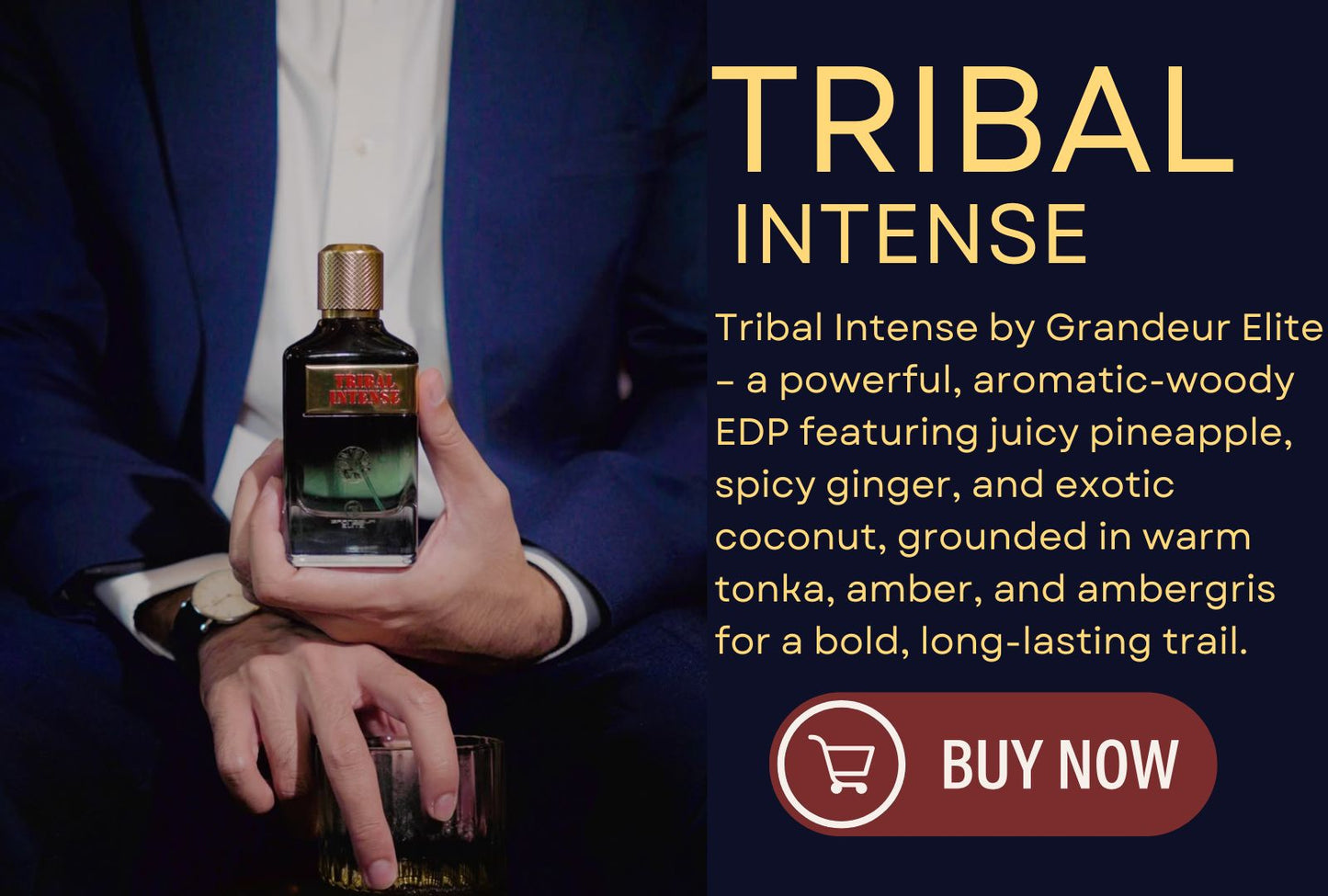 Tribal Intense by Grandeur Elite 100ml EDP Perfume