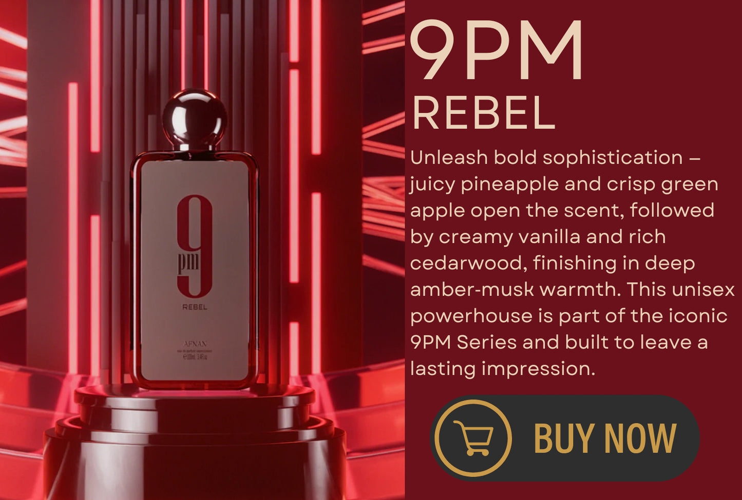 9PM Rebel by Afnan
