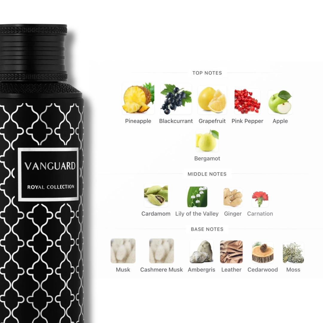 Maison Asrar Vanguard notes graphic: pineapple, apple, grapefruit, cardamom, ginger, leather, ambergris and cedarwood